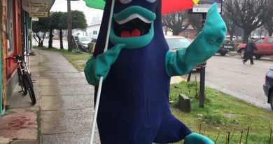 Barrio Comercial Entre Fiordos busca nombre a su mascota