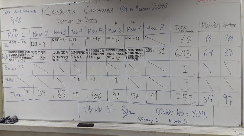 Consulta ciudadana en Chile Chico: más del 90% dijo No al Parque Patagonia