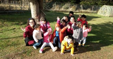 Jardines Infantiles de Integra promueven la inclusión educativa en la Primera Infancia